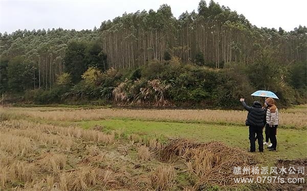 合川区陈老师带着爱徒寻龙点穴