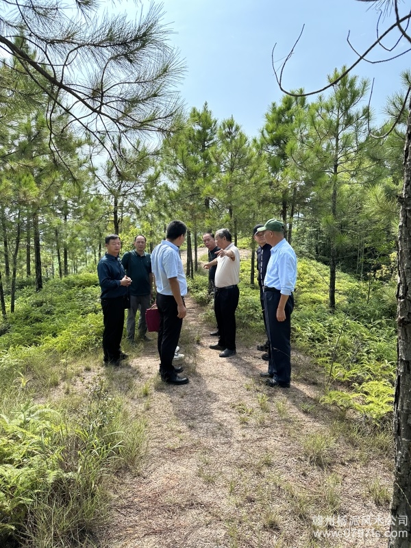 合川区学杨公风水跟陈荣昌老师实在